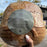 Pan de Campo Semi Integral de Masa Madre de Amassadre 650 gr