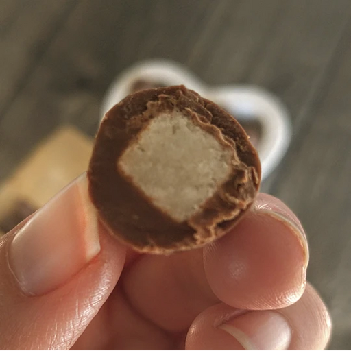 Coco Bañado en Chocolate
