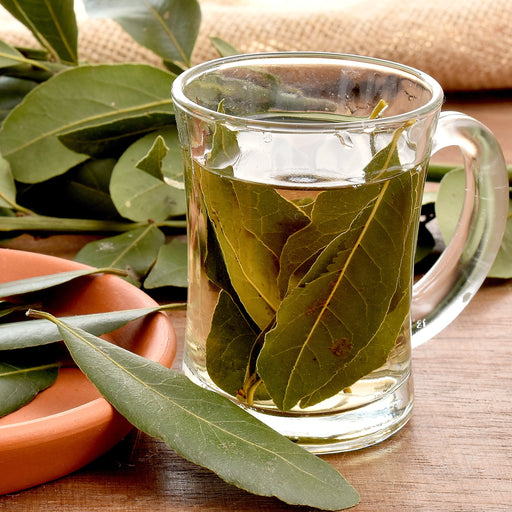 Hojas de Laurel para Infusiones 50 gr